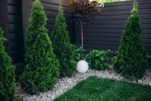 A small backyard garden with conifers and pebbles bordering the grass, and a round lamp in the center, all enclosed by a black vinyl fence.